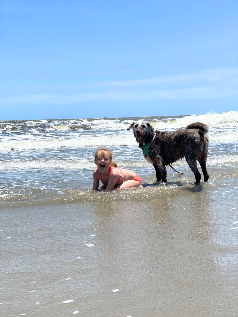 Ember and Cocoa on the beach. Vacationing with multiple dogs.
